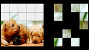 Puppies Jigsaw Puzzle + LWP screenshot 5