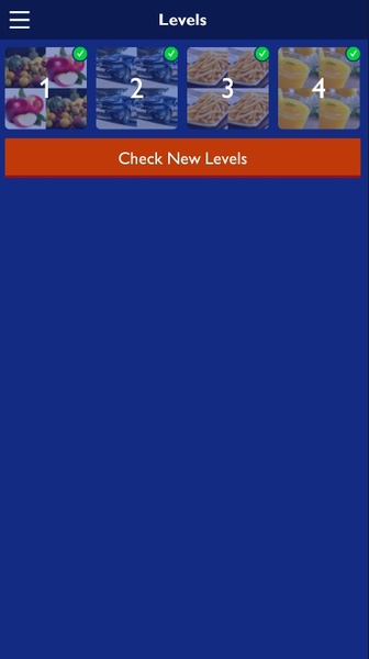 QUIZ GAME - Preview 7