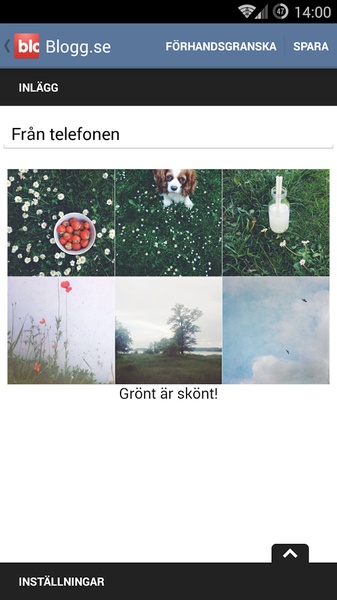 Blogg.se - Preview 2