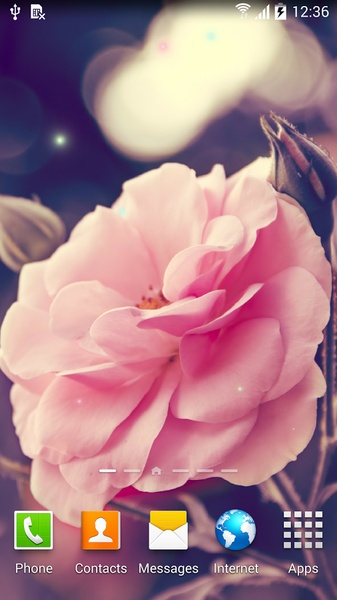 Autumn Flowers Live Wallpaper - Preview 7