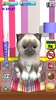 Kitty lovely 🐱 Virtual Pet screenshot 5
