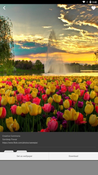 Wallpapers QHD - Preview 9