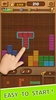Wood Block Toy : Block Puzzle screenshot 6