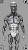 Mara3D HAL screenshot 6