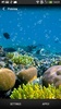 Coral Reef Live Wallpaper screenshot 4