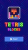 Tetris: Brick Game screenshot 4