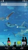 Mega Aquarium Live Wallpaper screenshot 1