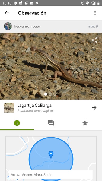 iNaturalist - Preview 3