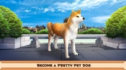Play With Your Dog: Shiba Inu screenshot 5