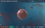 Bacteria interactive educational VR 3D screenshot 4