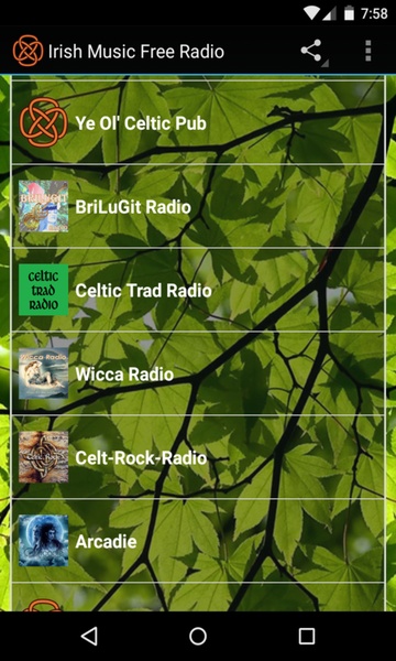 Irish Music Free Radio - Preview 3