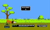 Duck Hunt screenshot 1