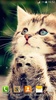 Cute Cats Live Wallpaper screenshot 2