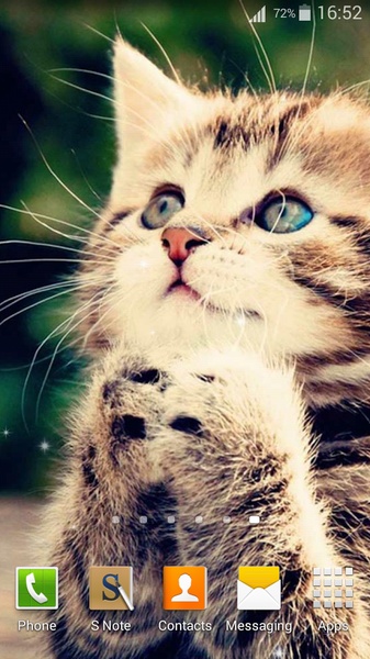 Cute Cats Live Wallpaper - Preview 2