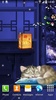 Sleepy Cat Live Wallpaper screenshot 3