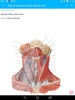 Anatomy Atlas, USMLE, Clinical screenshot 6