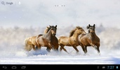 Horses in winter screenshot 2