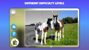 Horse and Pony jigsaw puzzles screenshot 2