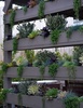 Vertical Garden Ideas screenshot 4