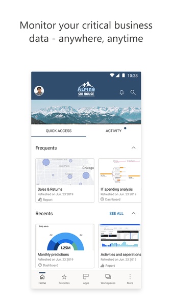 Microsoft Power BI - Preview 1