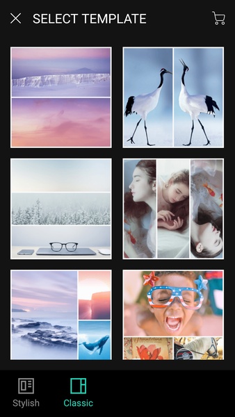 POLA - Preview 9