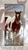 Horse Wallpapers screenshot 5