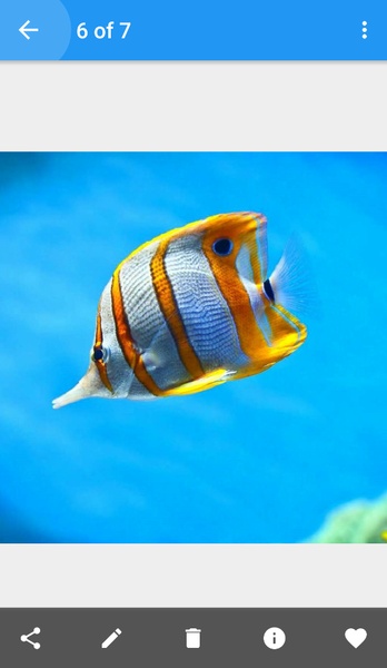 Decent Photo Editor - Preview 4