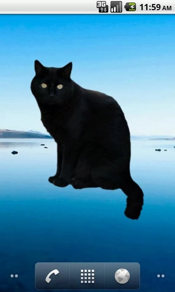 BlackCatSticker - Preview 1