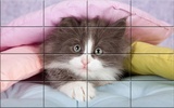 Cats Puzzle screenshot 4