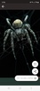 Spider Wallpaper screenshot 6