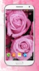 Bonito Flores Rosa Fundo HD screenshot 2