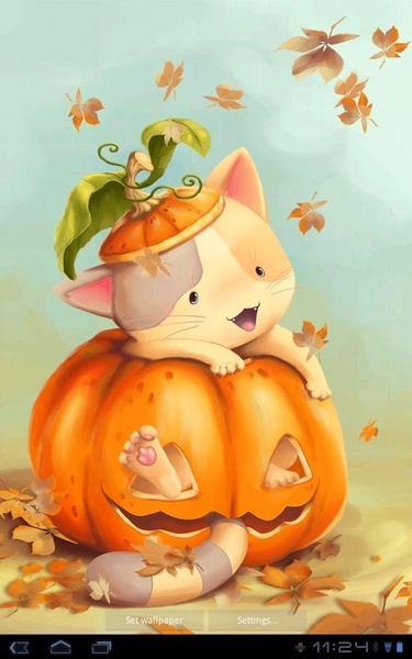 Pumpkin Kitten Live Wallpaper Free - Preview 3