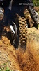 Motocross Wallpapers screenshot 7