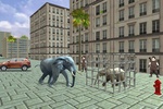 Wild Elephant Family simulator screenshot 10