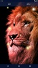 Brave Lion Live Wallpaper screenshot 4