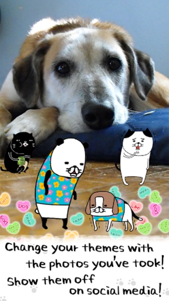 Panda and Dog: Always Dog Cute - Preview 5