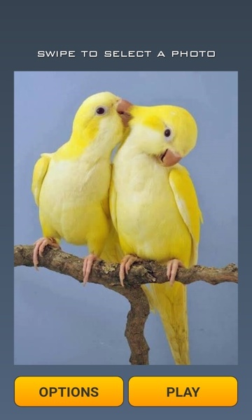 Cute Birds Puzzle - Preview 2