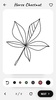 Draw flowers screenshot 10