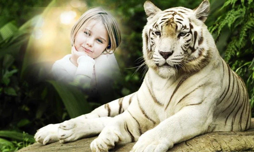 Animal Photo Frame - Preview 2