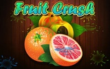 Fruit Crush screenshot 14