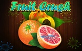 Fruit Crush screenshot 14