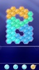 Hexa Puzzle - Block Hexa Game! screenshot 13
