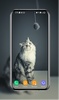 Kitten Wallpapers screenshot 12