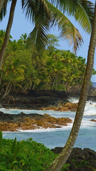 Moodscapes Rocky Waves Free - Preview 1