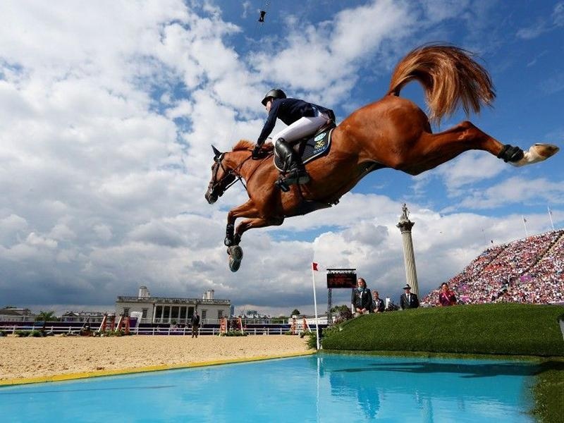 EquestrianNobleSports - Preview 3
