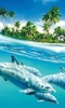 Dolphins Live Wallpaper screenshot 3
