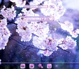 Cherry Blossoms in the Rain screenshot 5