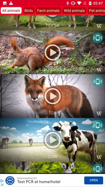 Animals: Ringtones - Preview 6