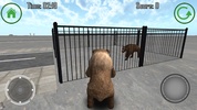 Bear Madness screenshot 5