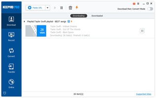 KeepVid Pro
